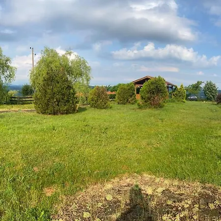 Bachvarov Hill House * トリャブナ
